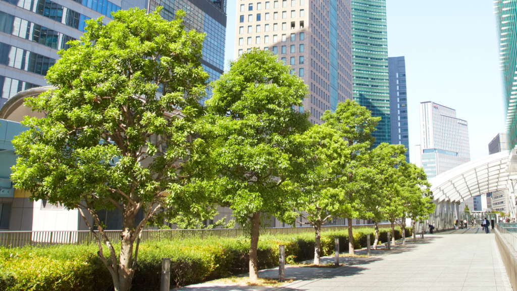 Proper Tree Shaping Improves
